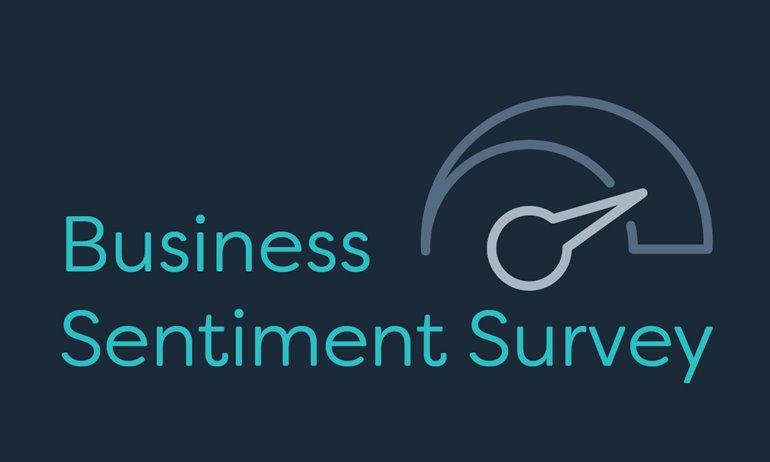 business-sentiment-survey-graphic