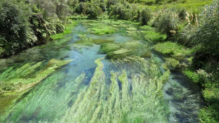 The Blue Spring is in South Waikato