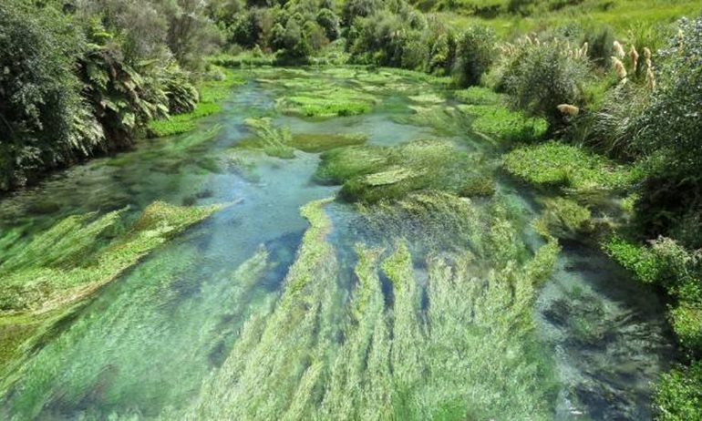 South Waikato South Waikato District